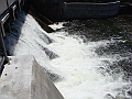 Western Michigan [2010] 052